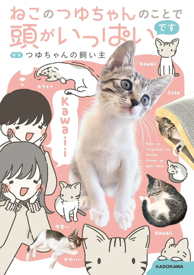 『ねこのつゆちゃんのことで頭がいっぱいです』 16124196.webp