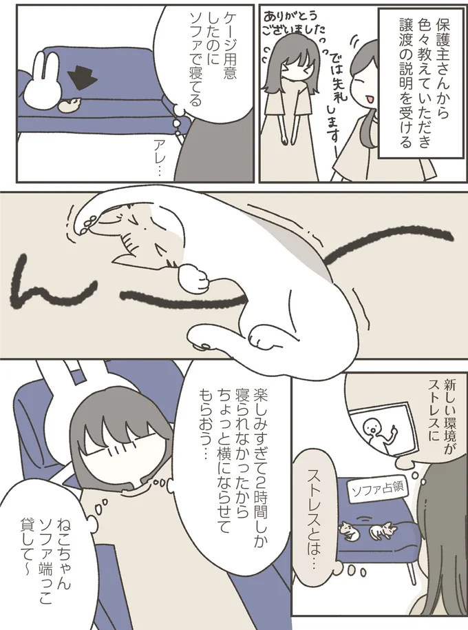 『ねこのつゆちゃんのことで頭がいっぱいです』 16124205.webp