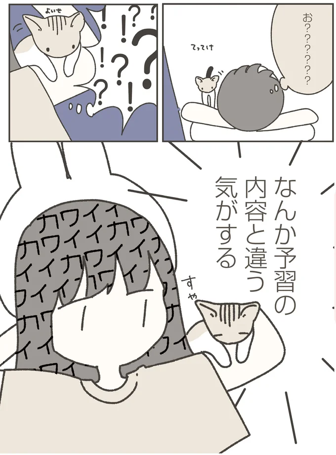 『ねこのつゆちゃんのことで頭がいっぱいです』 16124206.webp