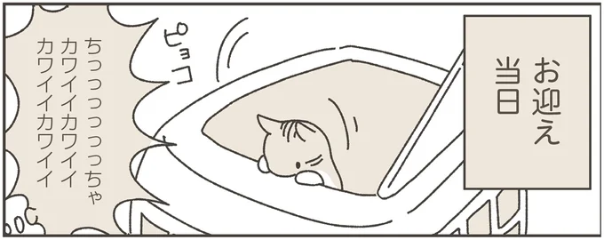 保護猫を迎えることにした女性。「初日は何もしない」と心に決めていたが...えええ！／ねこのつゆちゃんのことで頭がいっぱいです