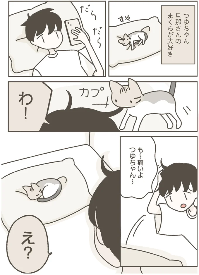 『ねこのつゆちゃんのことで頭がいっぱいです』 16124243.webp