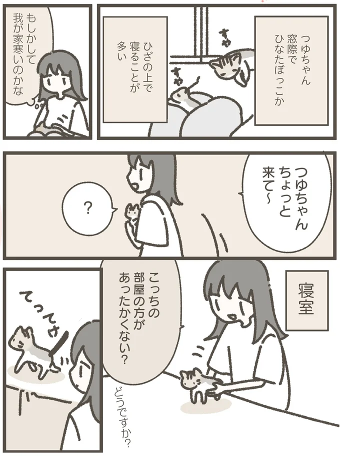 『ねこのつゆちゃんのことで頭がいっぱいです』 16124246.webp