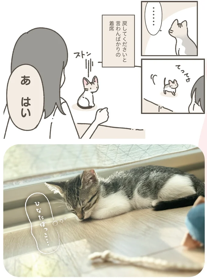 『ねこのつゆちゃんのことで頭がいっぱいです』 16124247.webp