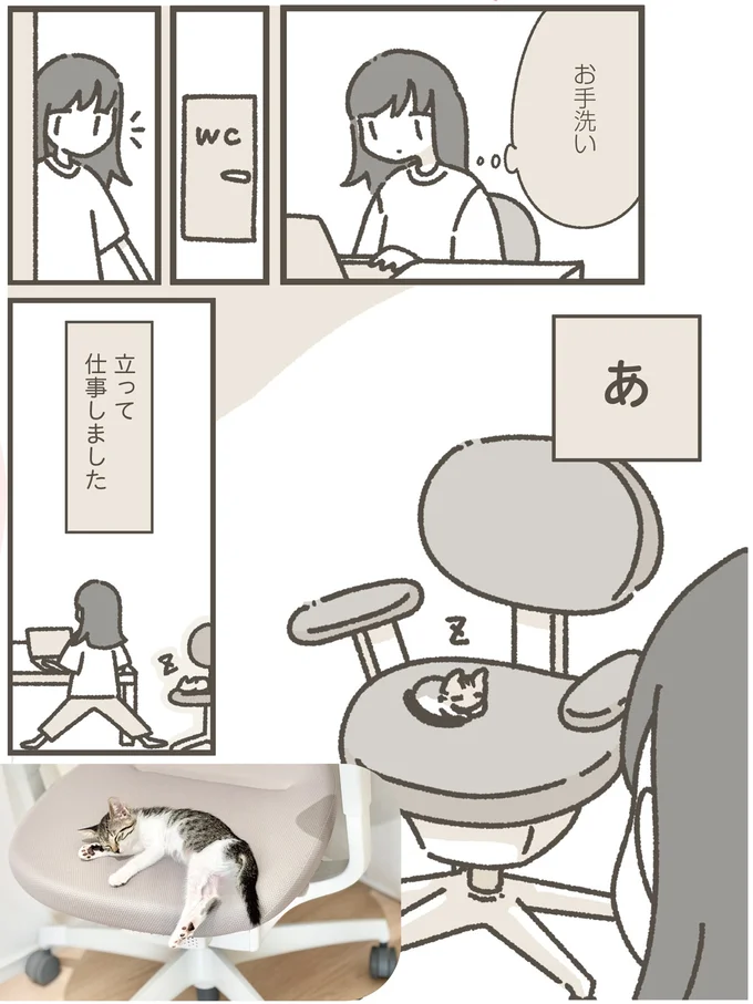 『ねこのつゆちゃんのことで頭がいっぱいです』 16124248.webp