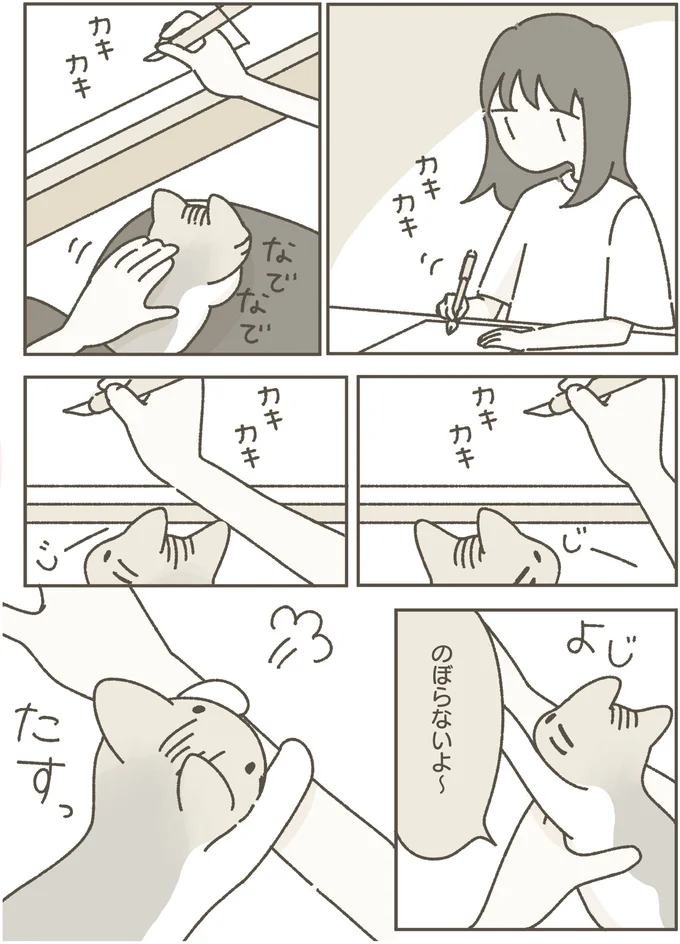 『ねこのつゆちゃんのことで頭がいっぱいです』 16124250.webp