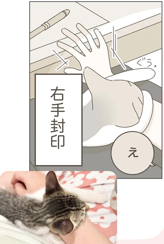 『ねこのつゆちゃんのことで頭がいっぱいです』 16124251.webp