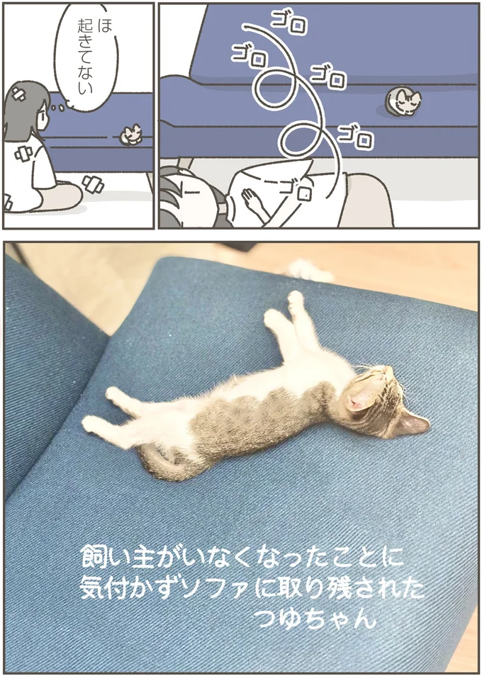 『ねこのつゆちゃんのことで頭がいっぱいです』 16124258.webp