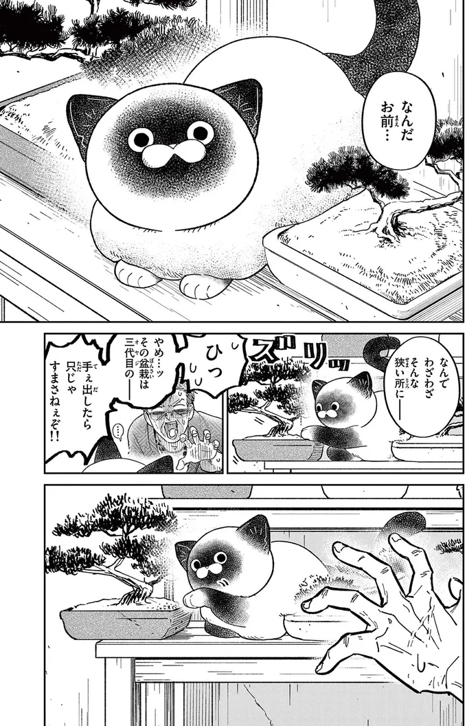 「最凶の男」と恐れられた元極道。平和で平凡な余生で出会ったのは!?／オヤジとにゃん吉 16182080.webp