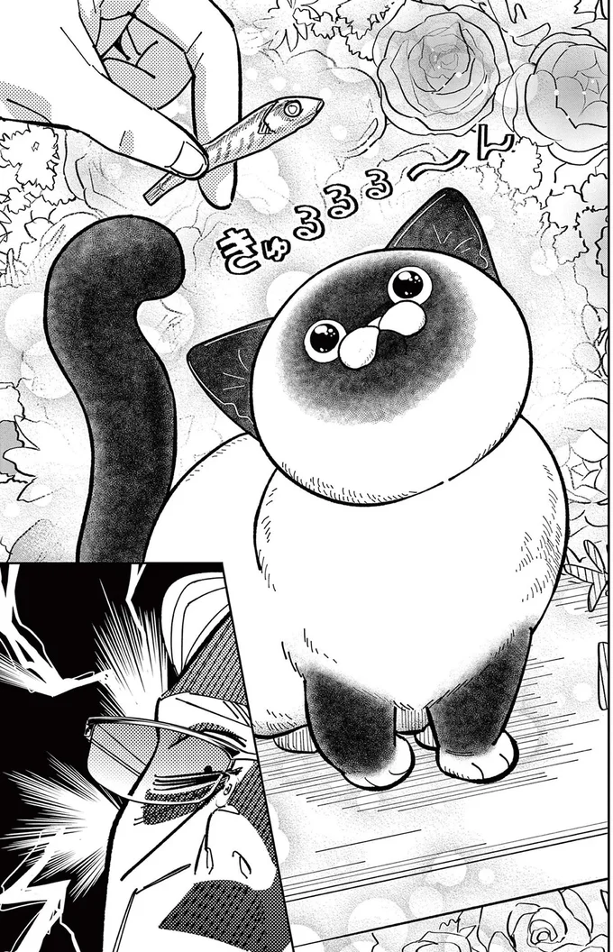『オヤジとにゃん吉』 16204570.webp