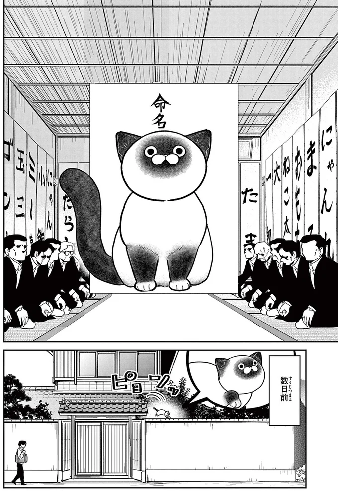 『オヤジとにゃん吉』 16204602.webp