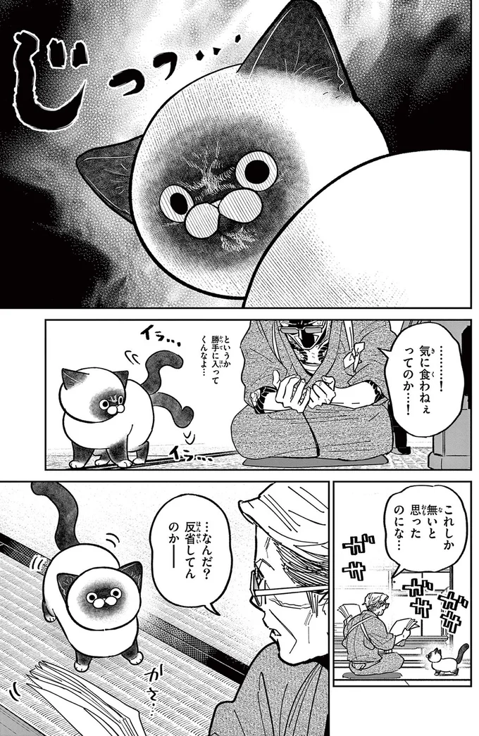 『オヤジとにゃん吉』 16204611.webp