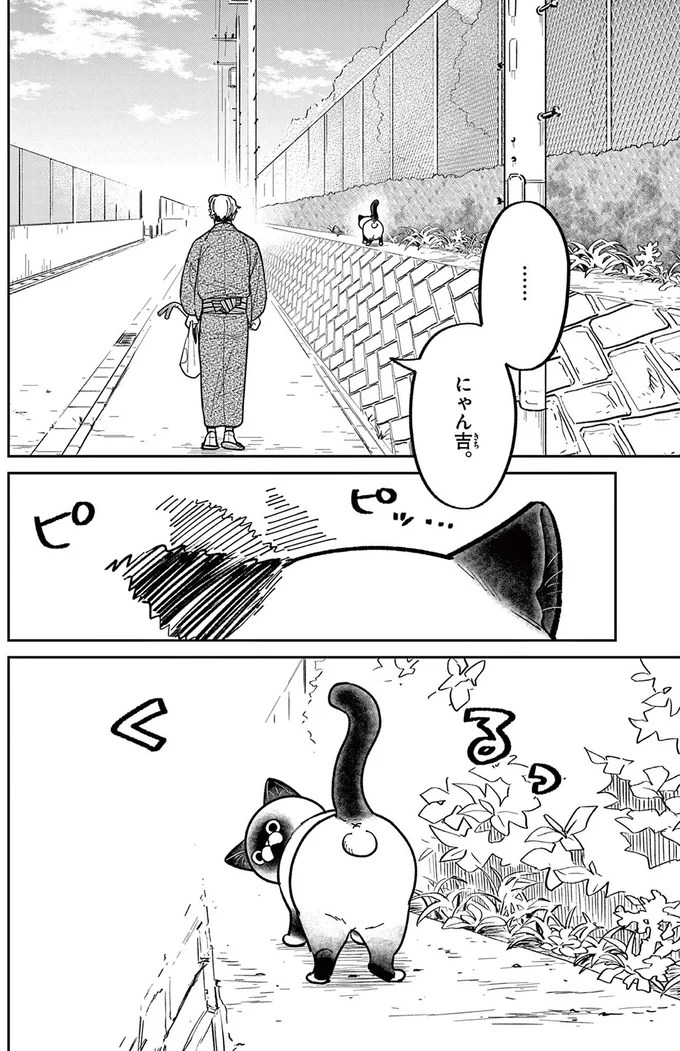 『オヤジとにゃん吉』 16204685.webp