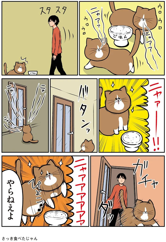 『鴻池剛と猫のぽんた ニャアアアン! 1～4』 16211699.webp