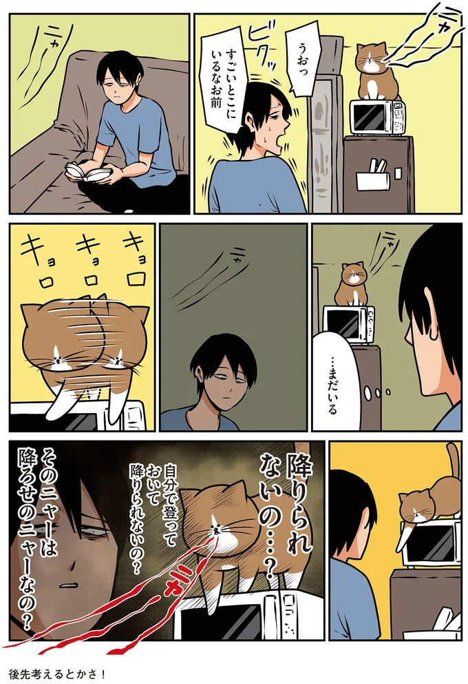 『鴻池剛と猫のぽんた ニャアアアン! 1～4』 16211700.webp