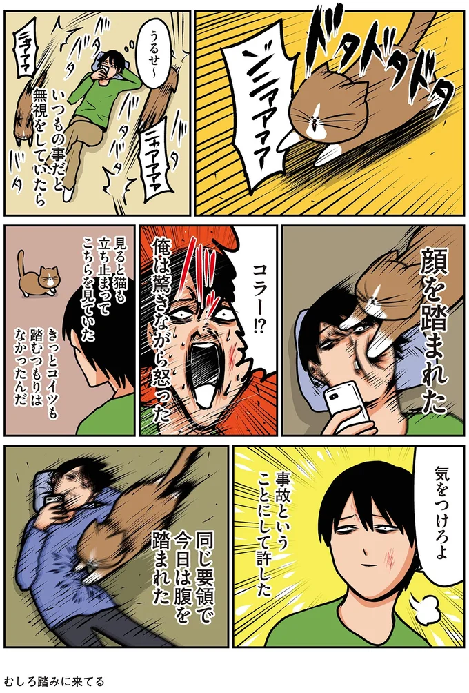 『鴻池剛と猫のぽんた ニャアアアン! 1～4』 16211773.webp