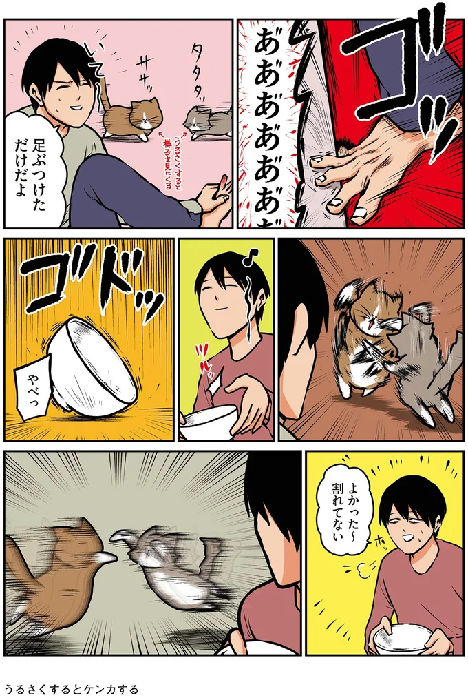 『鴻池剛と猫のぽんた ニャアアアン! 1～4』 16212205.webp