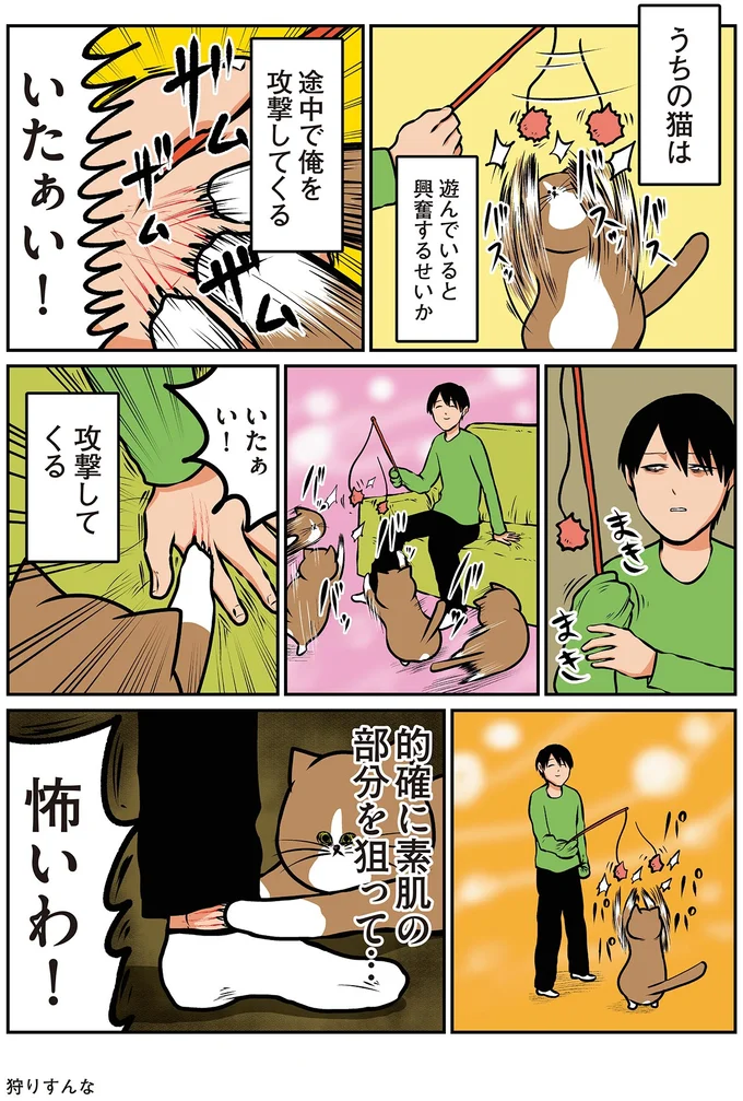 『鴻池剛と猫のぽんた ニャアアアン! 1～4』 16212206.webp