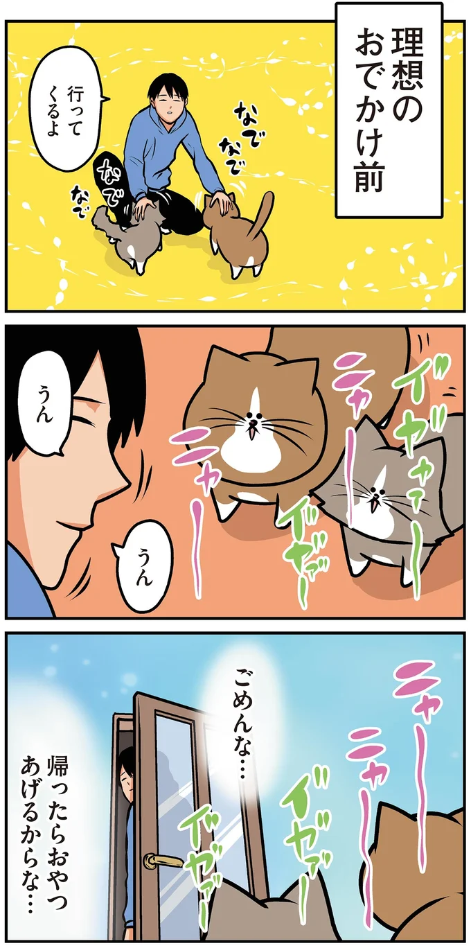 『鴻池剛と猫のぽんた ニャアアアン! 1～4』 16212223.webp