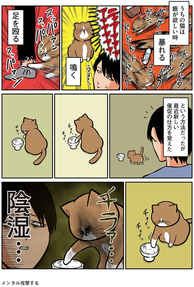 『鴻池剛と猫のぽんた ニャアアアン! 1～4』 16212255.webp