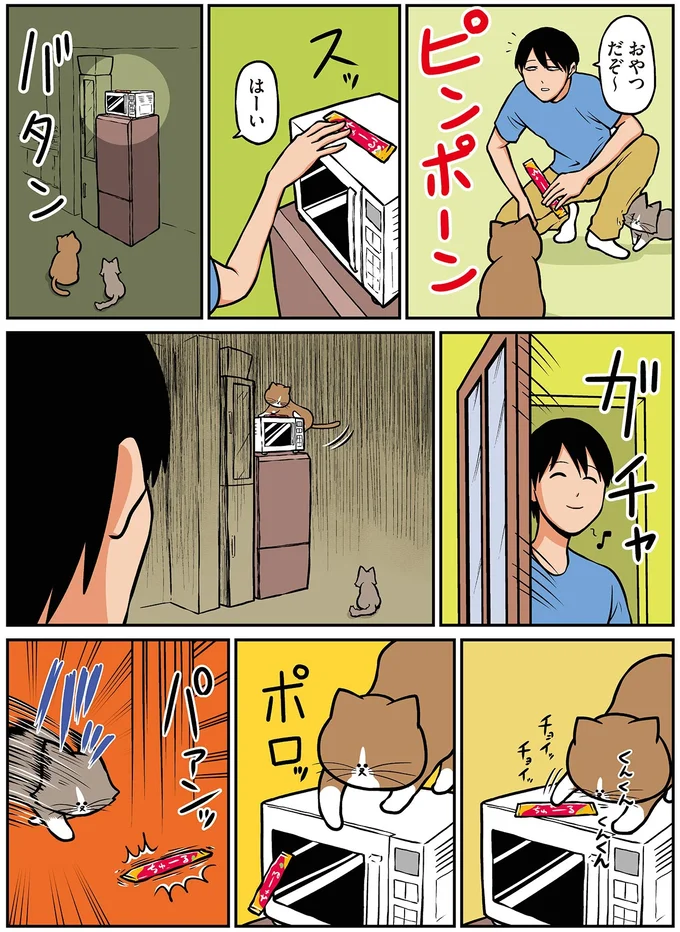 『鴻池剛と猫のぽんた ニャアアアン! 1～4』 16212442.webp