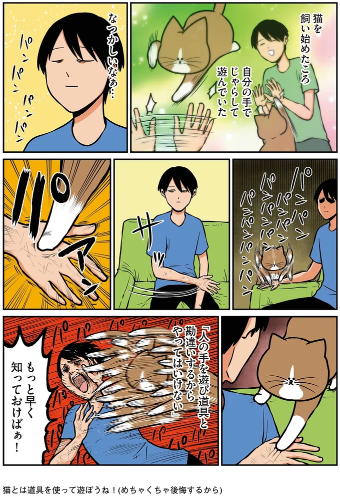 『鴻池剛と猫のぽんた ニャアアアン! 1～4』 16212447.webp