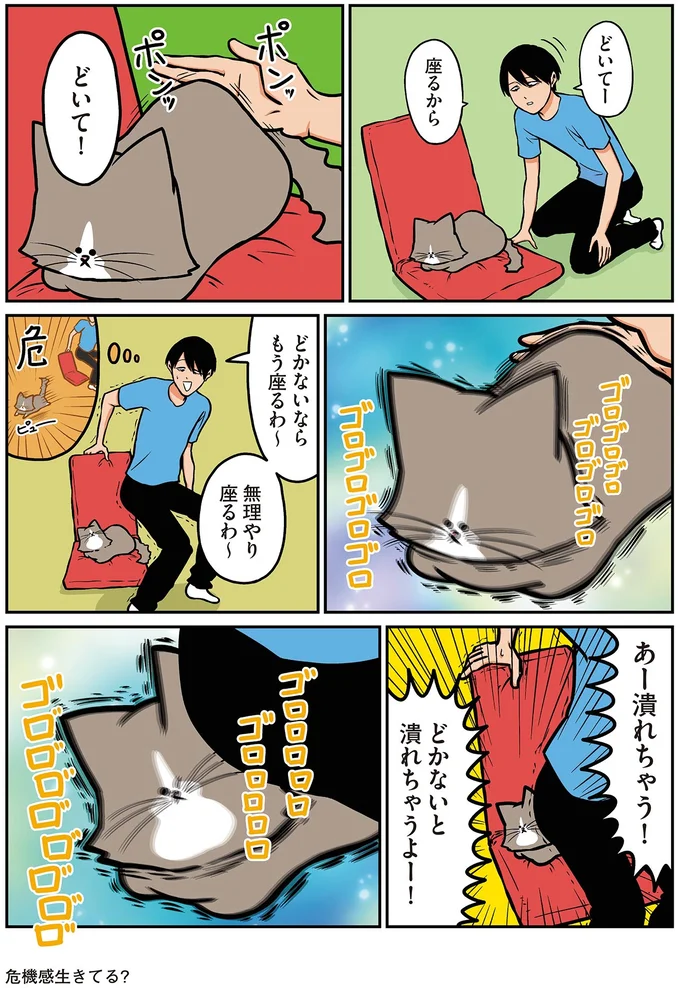『鴻池剛と猫のぽんた ニャアアアン! 1～4』 16212448.webp
