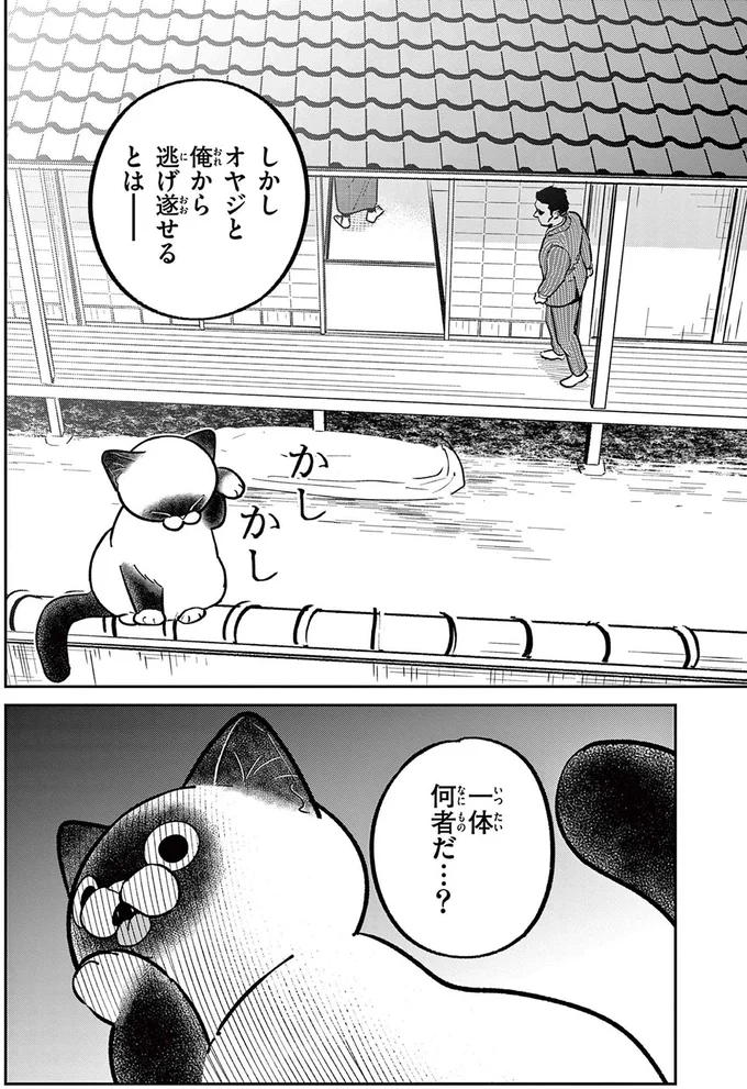 『オヤジとにゃん吉』 16212484.webp