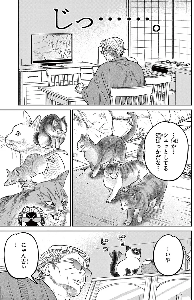 『オヤジとにゃん吉』 16212758.webp