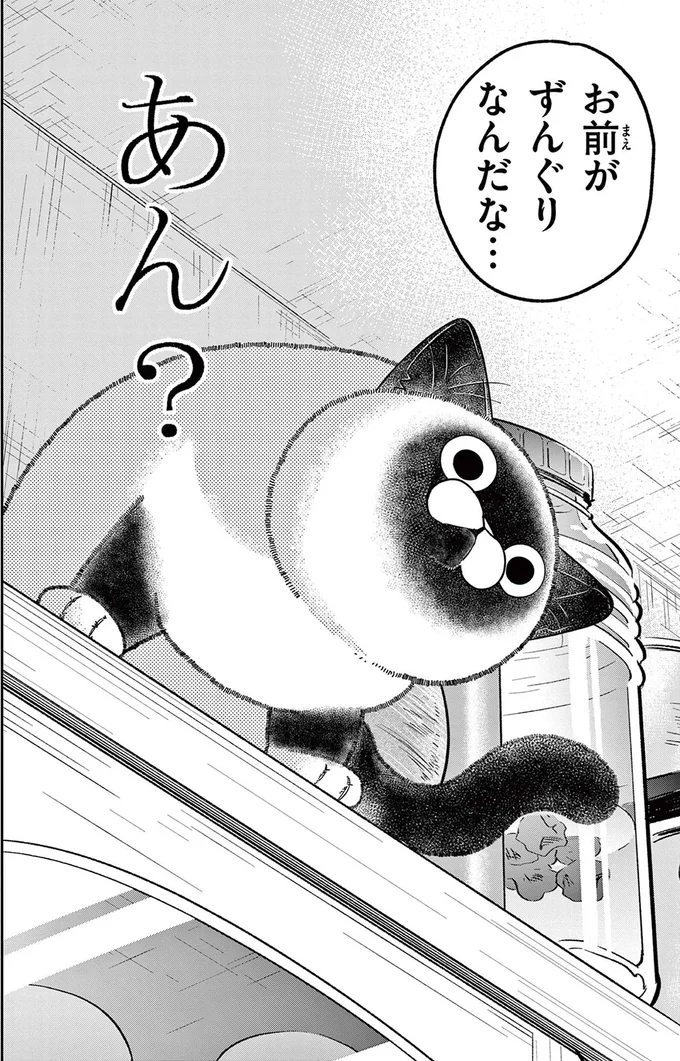 『オヤジとにゃん吉』 16212759.webp