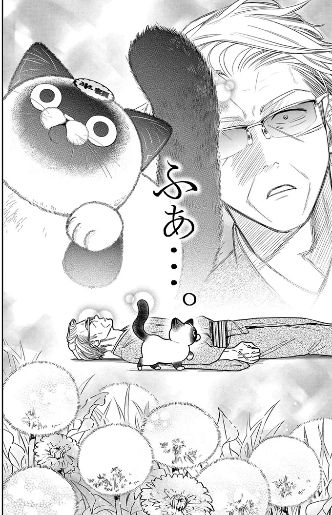 『オヤジとにゃん吉』 16215705.webp
