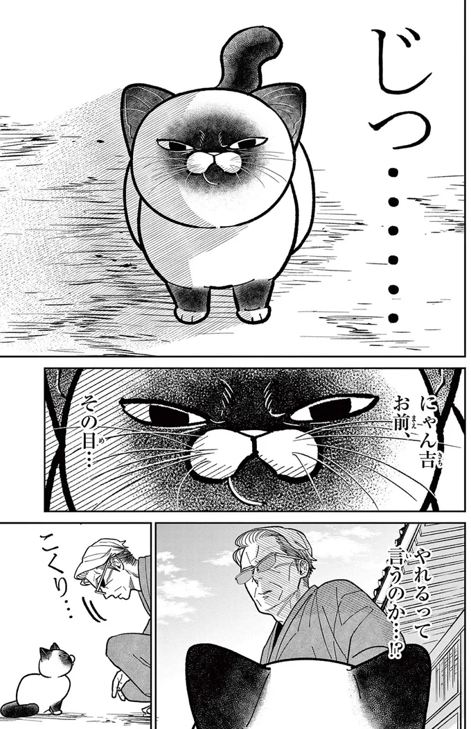 『オヤジとにゃん吉』 16223499.webp