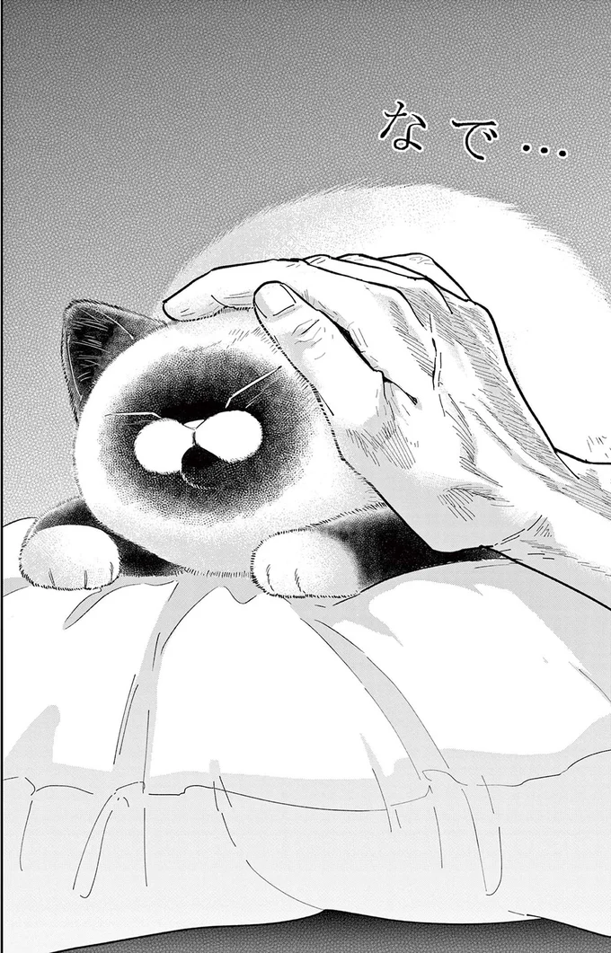『オヤジとにゃん吉』 16223666.webp