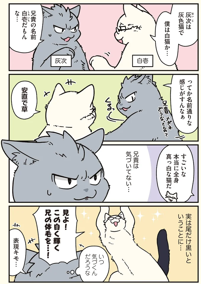 16258195.webp