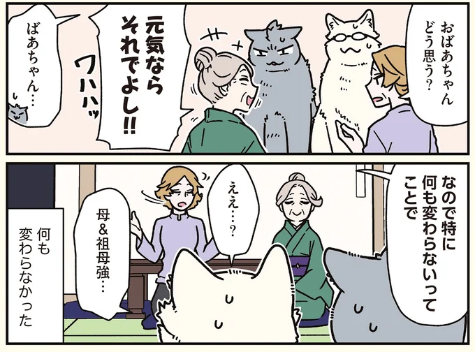 16258197.webp