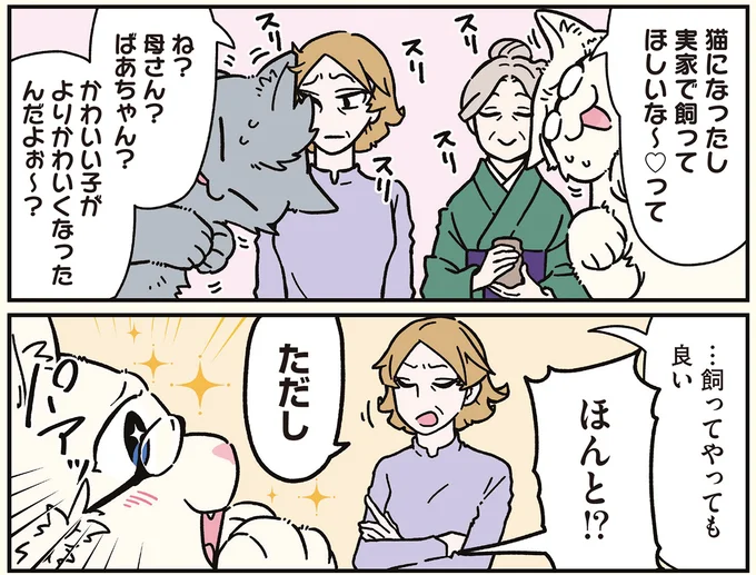 16258200.webp