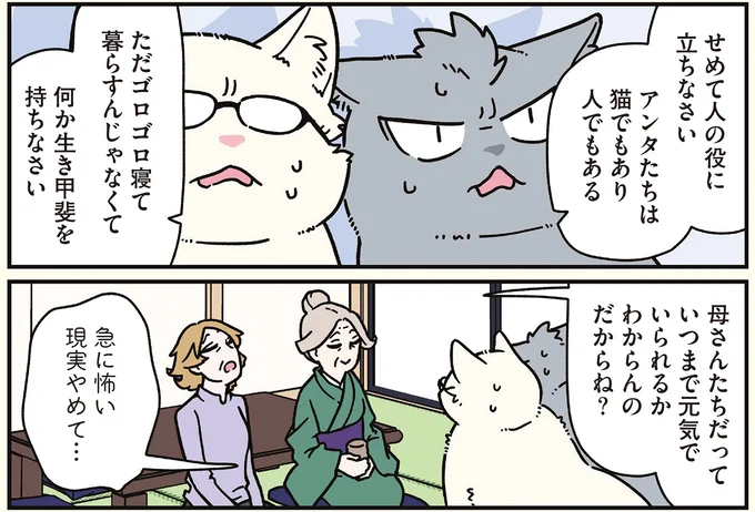16258201.webp