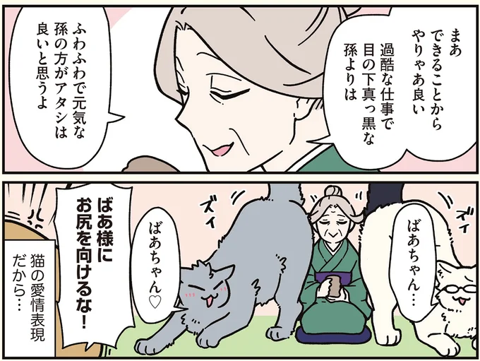 16258203.webp