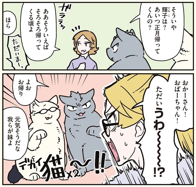 『ブラック企業の社員が猫になって人生が変わった話8 猫兄弟の場合』 16258909.webp