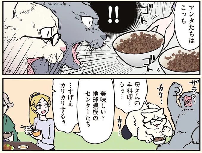 『ブラック企業の社員が猫になって人生が変わった話8 猫兄弟の場合』 16258914.webp