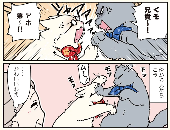 『ブラック企業の社員が猫になって人生が変わった話8 猫兄弟の場合』 16258917.webp