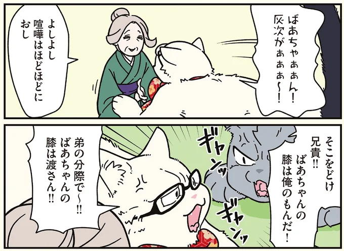 『ブラック企業の社員が猫になって人生が変わった話8 猫兄弟の場合』 16258918.webp