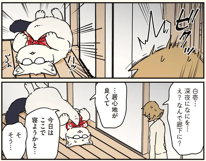 『ブラック企業の社員が猫になって人生が変わった話8 猫兄弟の場合』 16258924.webp
