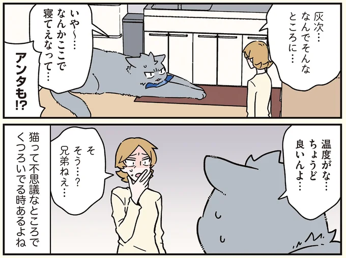 『ブラック企業の社員が猫になって人生が変わった話8 猫兄弟の場合』 16258926.webp