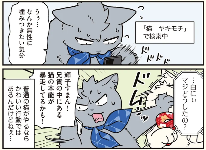 『ブラック企業の社員が猫になって人生が変わった話8 猫兄弟の場合』 16258945.webp
