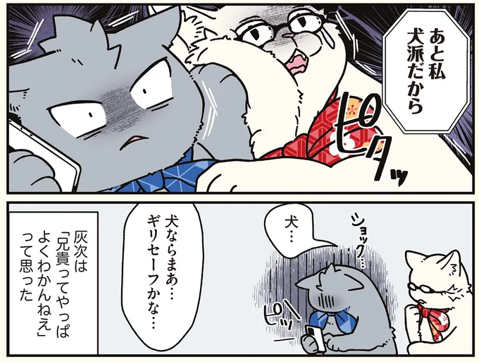 『ブラック企業の社員が猫になって人生が変わった話8 猫兄弟の場合』 16258947.webp