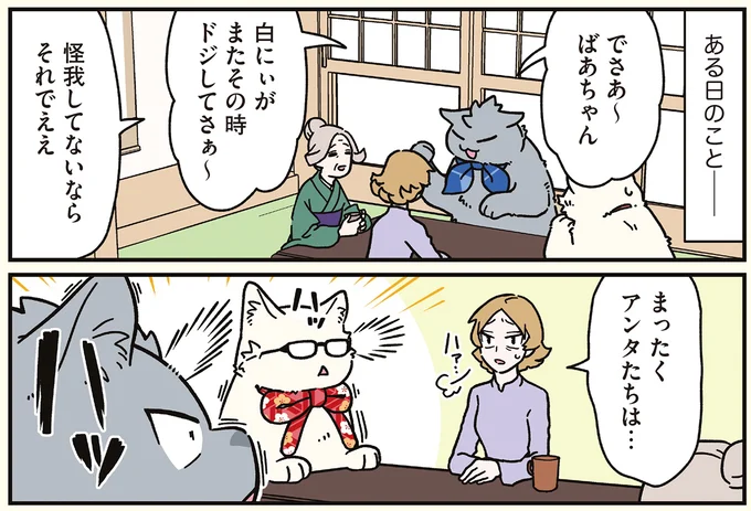 『ブラック企業の社員が猫になって人生が変わった話8 猫兄弟の場合』 16258949.webp