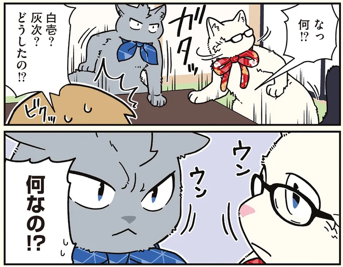 『ブラック企業の社員が猫になって人生が変わった話8 猫兄弟の場合』 16258950.webp