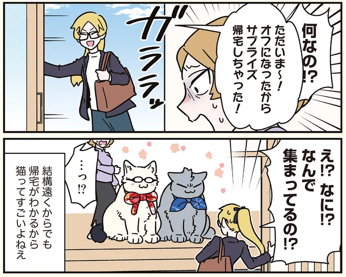 『ブラック企業の社員が猫になって人生が変わった話8 猫兄弟の場合』 16258952.webp
