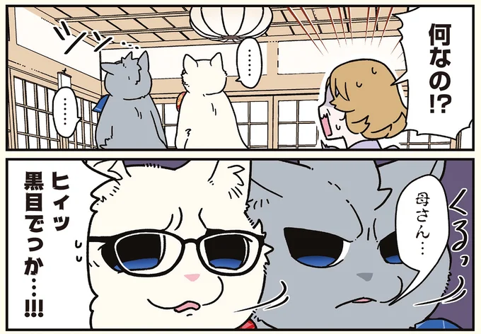 『ブラック企業の社員が猫になって人生が変わった話8 猫兄弟の場合』 16258955.webp