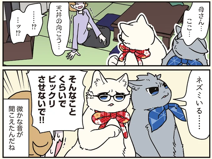 『ブラック企業の社員が猫になって人生が変わった話8 猫兄弟の場合』 16258956.webp